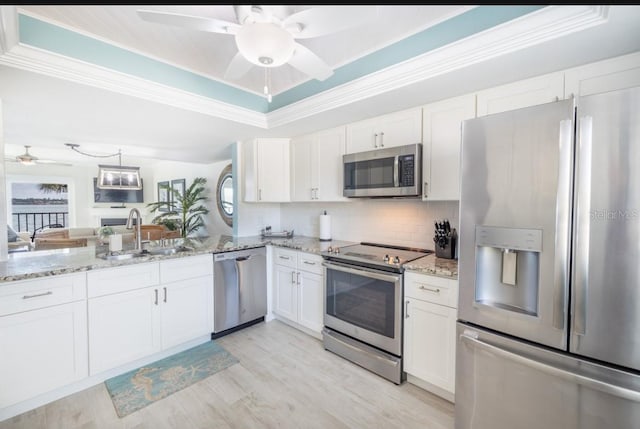 kitchen with a raised ceiling, sink, white cabinets, stainless steel appliances, and crown molding