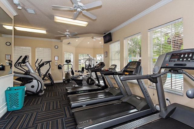 workout area featuring crown molding and plenty of natural light