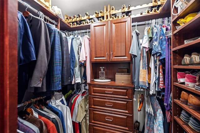 view of walk in closet