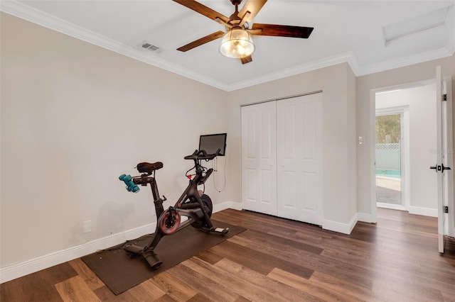 exercise room featuring dark wood-type flooring, ceiling fan, and crown molding