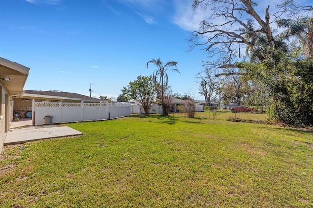 view of yard featuring a patio