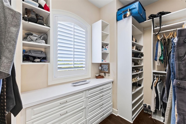 walk in closet featuring dark hardwood / wood-style floors