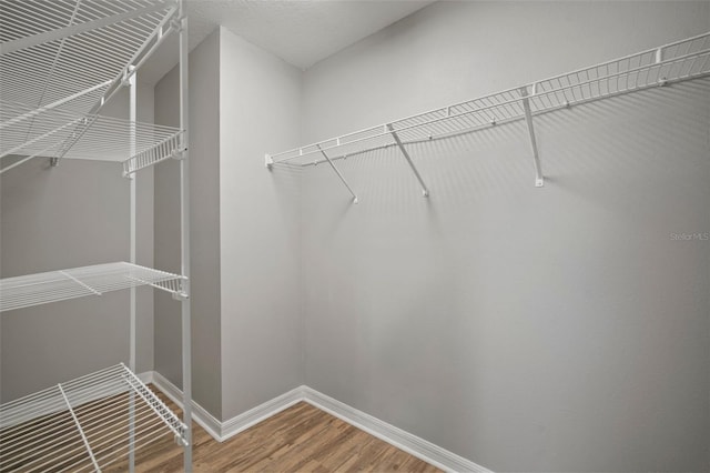 walk in closet featuring wood-type flooring