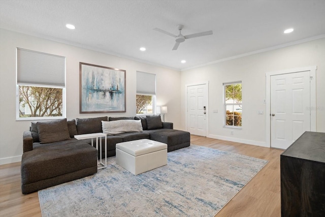 living room featuring ornamental molding, ceiling fan, and light wood-type flooring