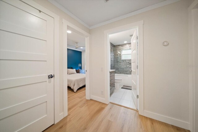 hall with crown molding and light wood-type flooring