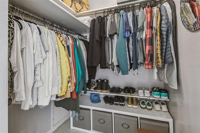 view of spacious closet