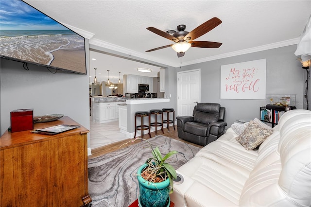 living room with crown molding, light hardwood / wood-style flooring, and ceiling fan