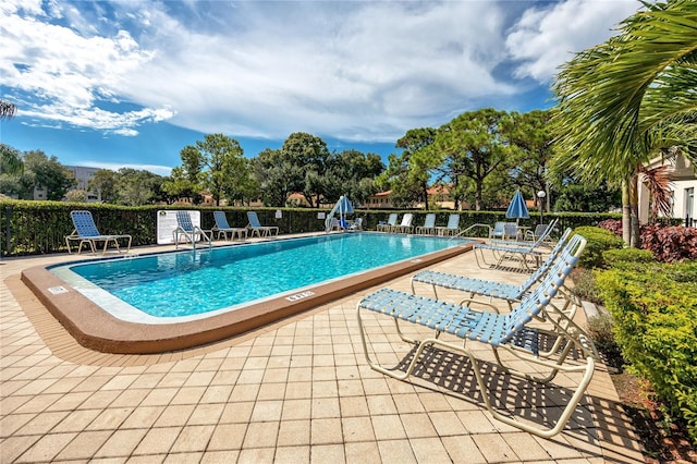 view of swimming pool featuring a patio