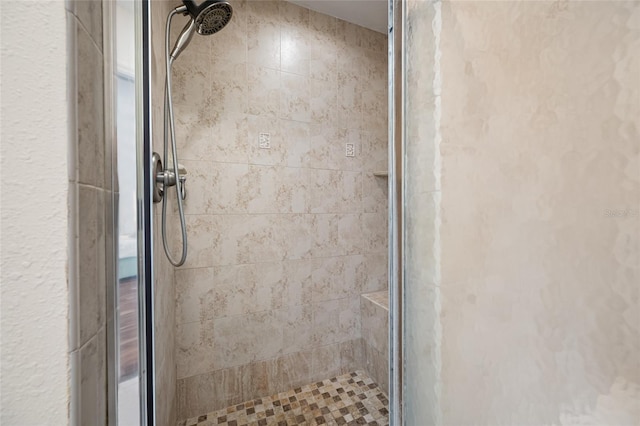 bathroom featuring a shower with shower door