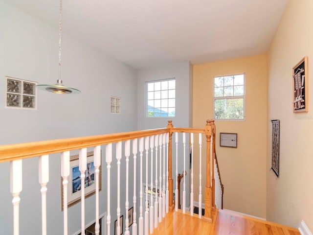 hall featuring hardwood / wood-style floors