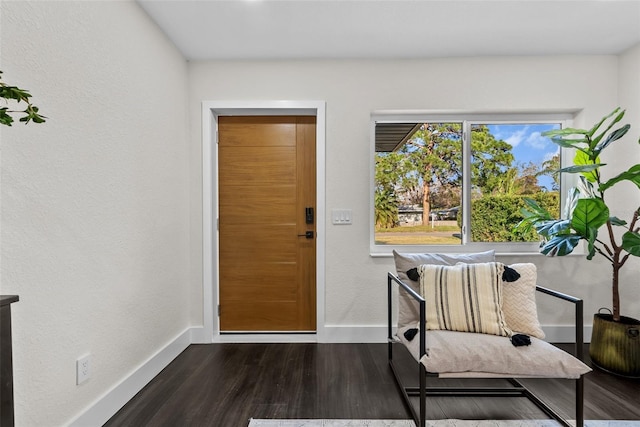 foyer entrance featuring baseboards and dark wood finished floors