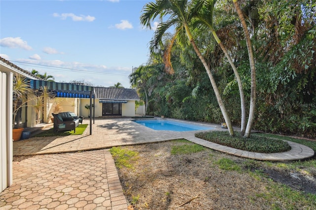 view of pool with a patio area