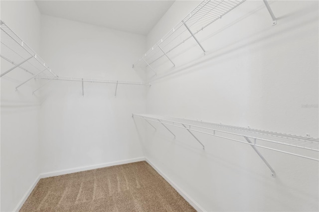 spacious closet with carpet flooring