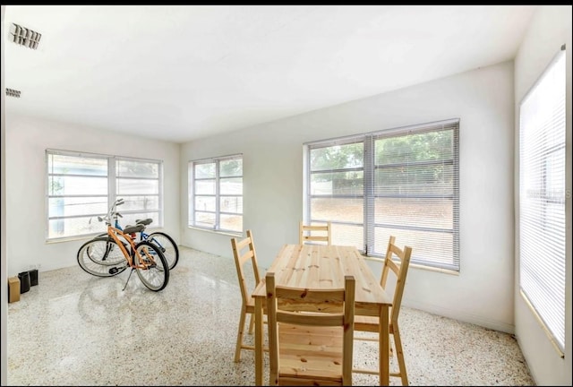 dining area featuring a wealth of natural light