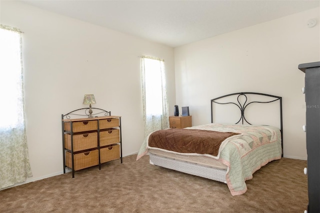 bedroom with carpet floors