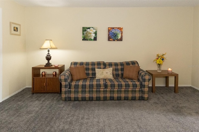 sitting room with dark colored carpet