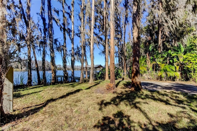 view of yard with a water view