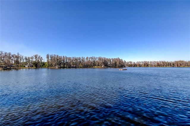 view of water feature