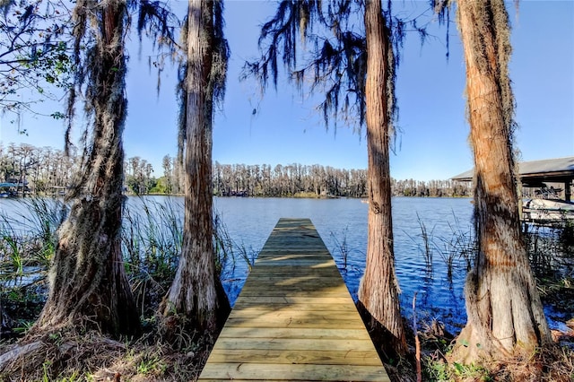 dock area with a water view