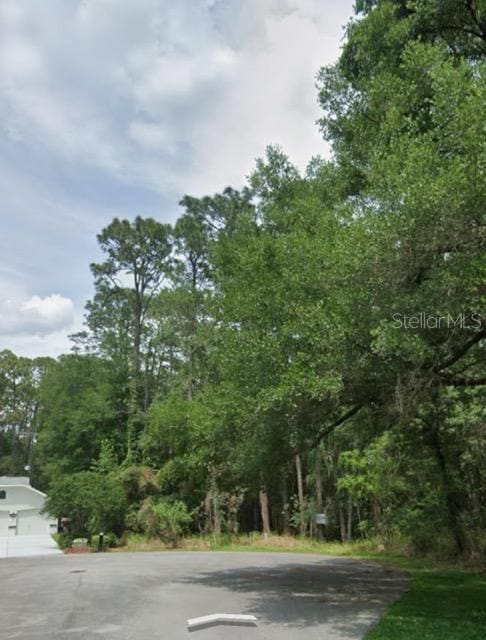 Listing photo 3 for 0000 SW 95th Pl Lot 53, Dunnellon FL 34432