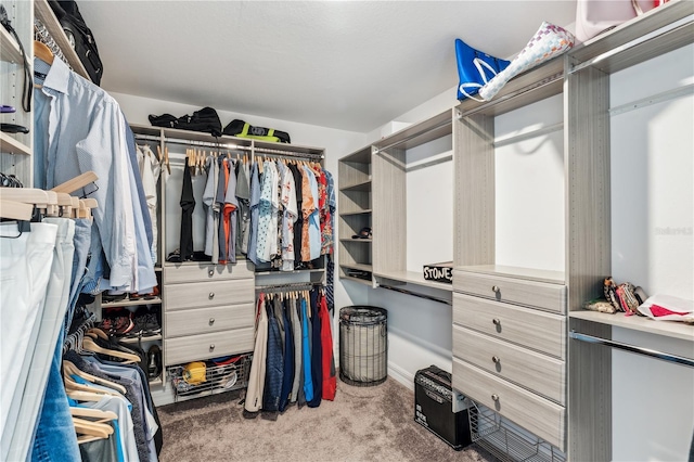 spacious closet with carpet floors