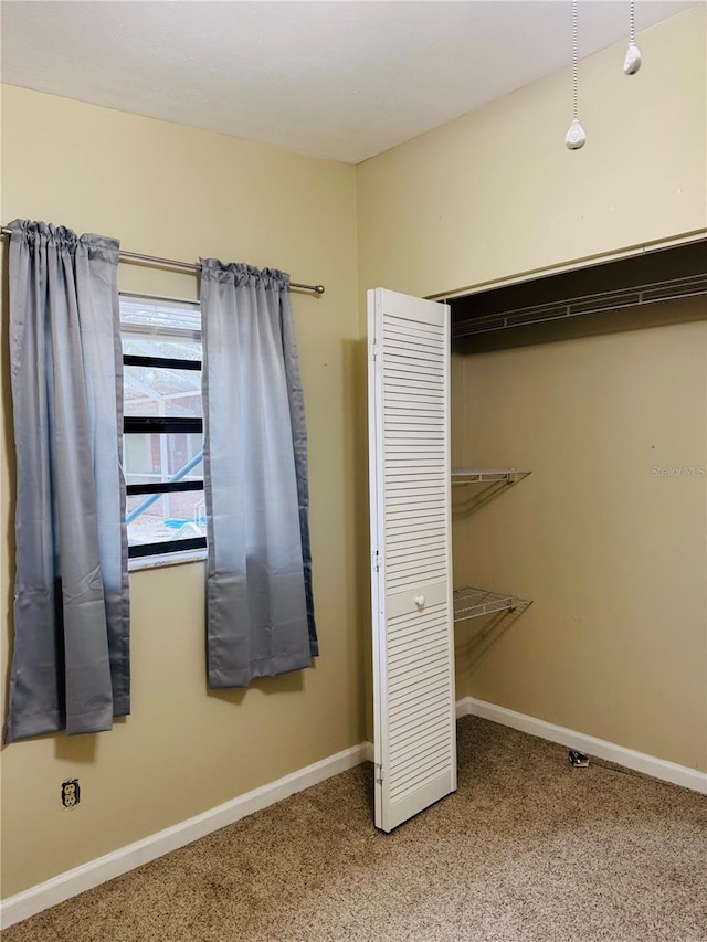 interior space with carpet floors and a closet