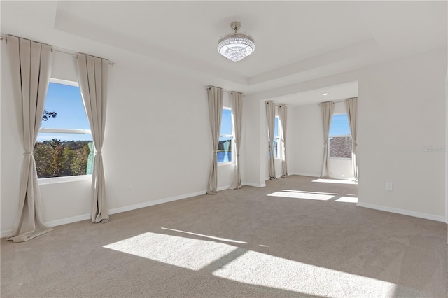 unfurnished room with light carpet, a tray ceiling, and plenty of natural light