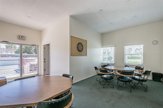 dining space featuring carpet floors and a textured ceiling