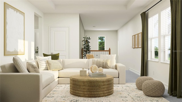 living room featuring light colored carpet and a raised ceiling