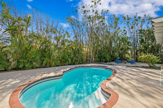 view of swimming pool with a patio