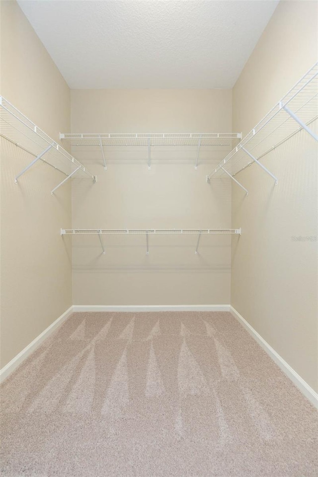 spacious closet featuring carpet floors