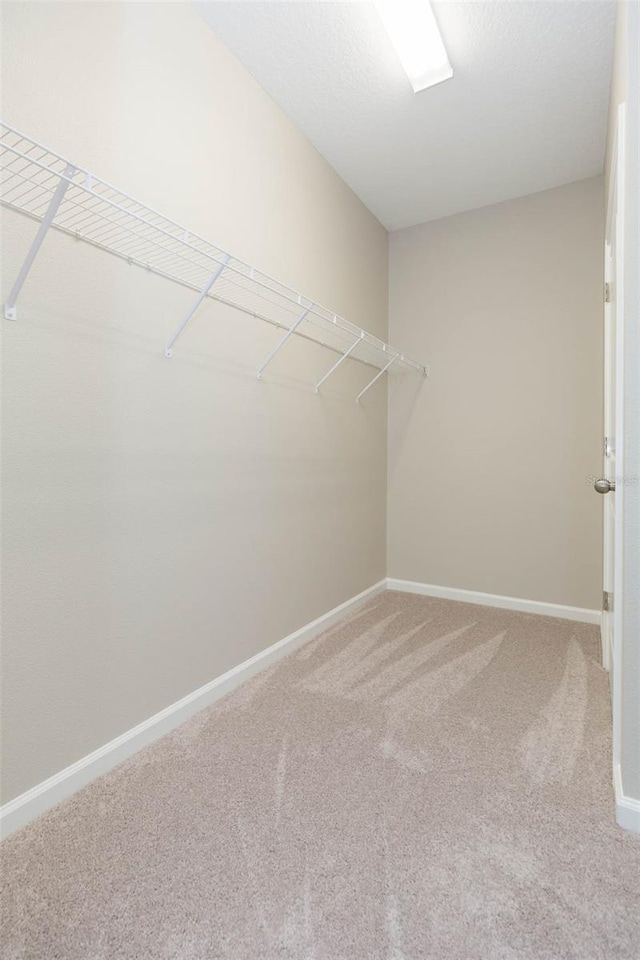 walk in closet featuring carpet floors