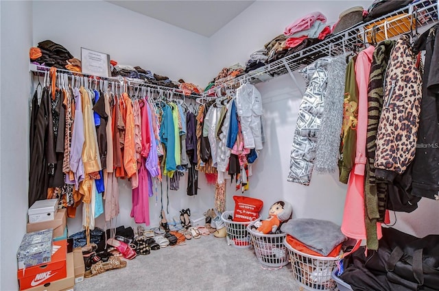 spacious closet with carpet flooring