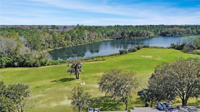 bird's eye view with a forest view and a water view