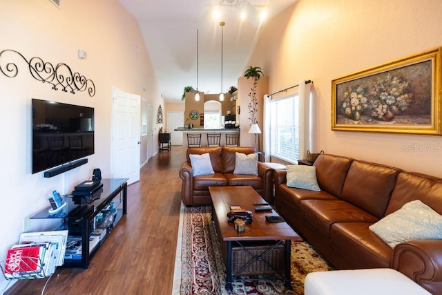 living room with wood-type flooring and high vaulted ceiling