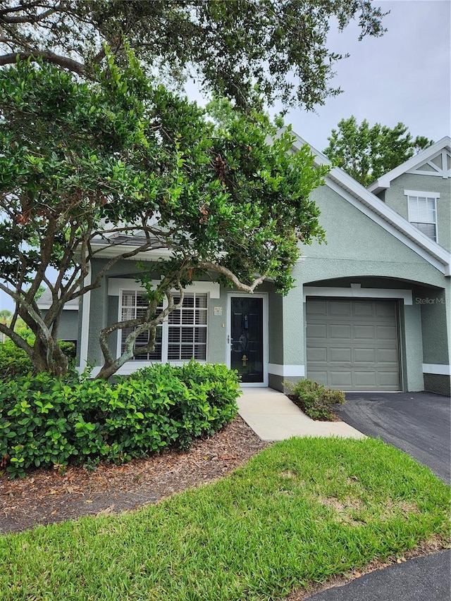3653 Kings Rd Unit 101, Palm Harbor, FL 34685 - photo 2