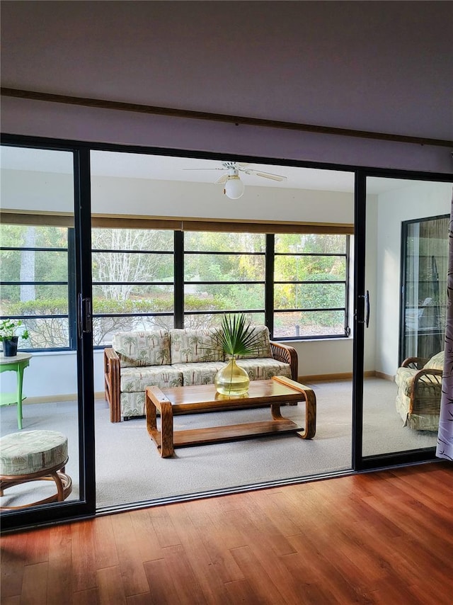 entryway featuring wood-type flooring