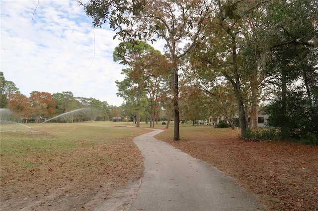 view of property's community with a yard