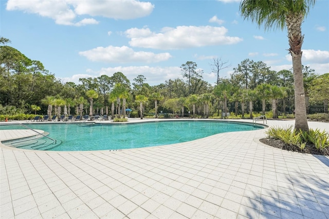 view of swimming pool with a patio