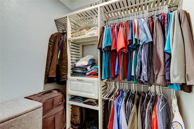 view of spacious closet