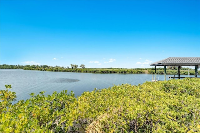 property view of water