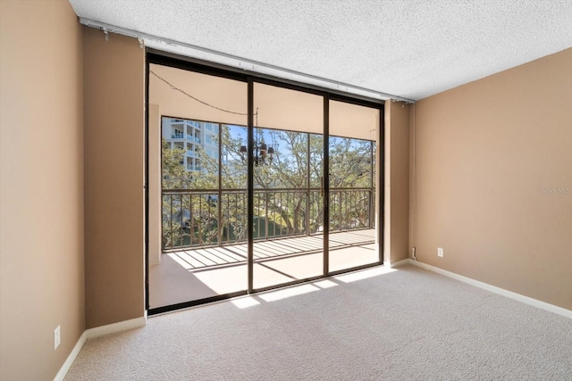 empty room featuring light carpet, a wall of windows, and a textured ceiling