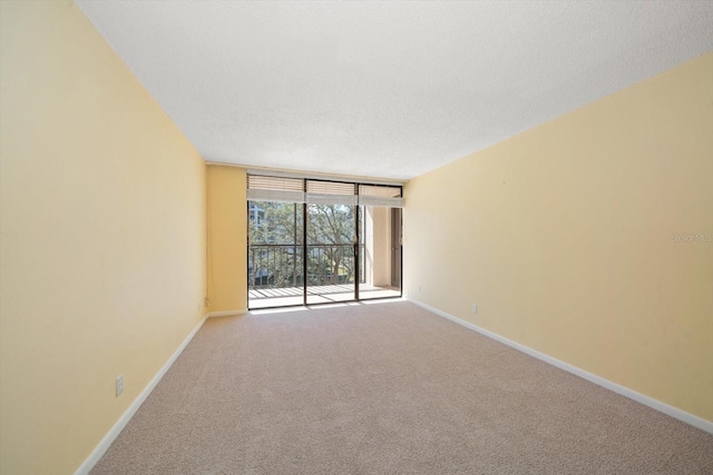 carpeted spare room with a textured ceiling and a wall of windows