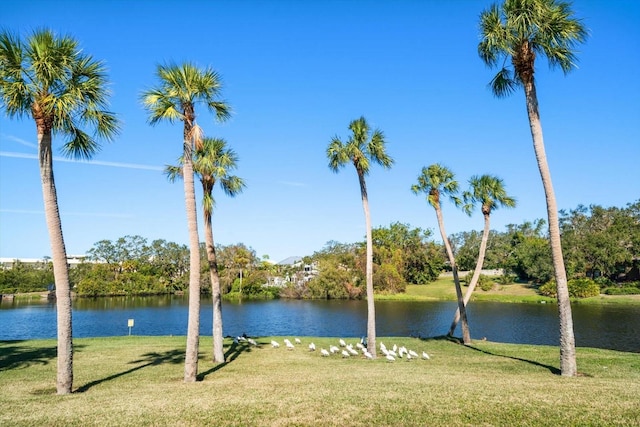 property view of water