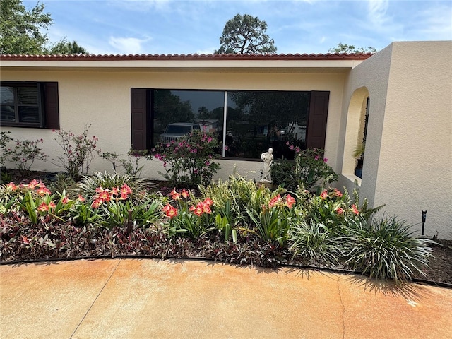 6226 Hampton Ct N, Saint Petersburg, FL 33710 - view of side of property with a tiled roof and stucco siding
