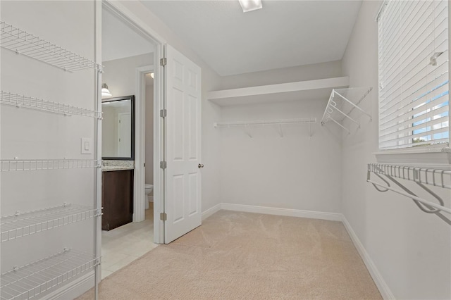 walk in closet featuring light colored carpet