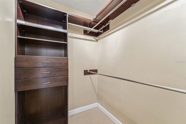 walk in closet with light carpet