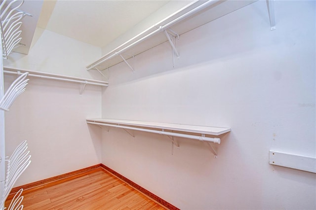 walk in closet featuring hardwood / wood-style flooring