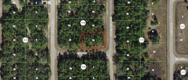 8590 N Wallingford Ave, Dunnellon FL, 34434 land for sale