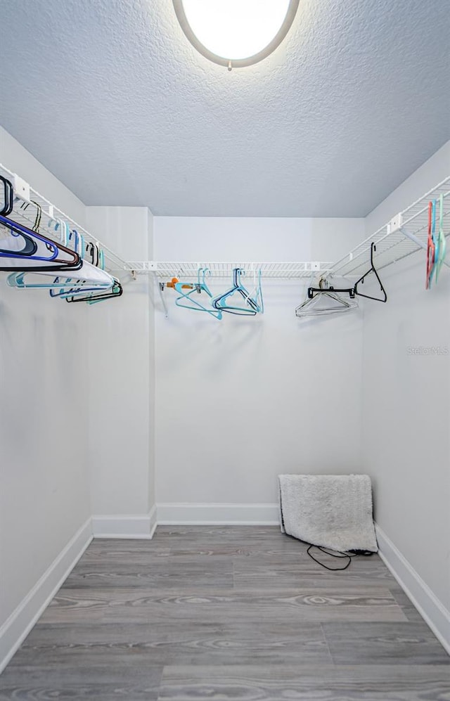 spacious closet with hardwood / wood-style flooring